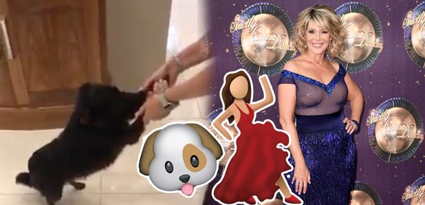Ruth Langsford Dog Dancing Strictly Asset