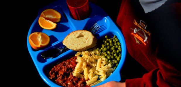 school pupil with dinner