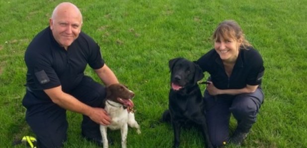 Dorset Police Dogs First In UK To Have New Skills - Heart Hampshire