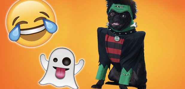 Halloween Dogs Canvas
