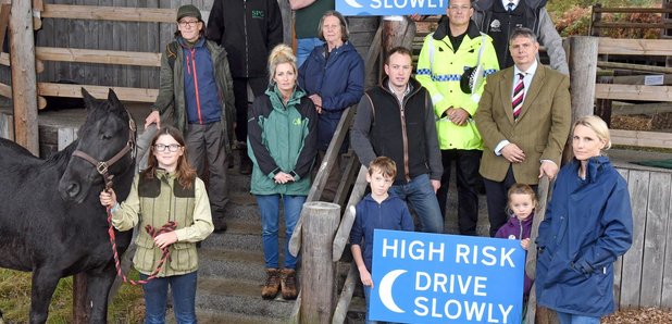 New Forest speed warning signs