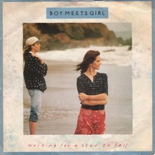 Waiting For A Star To Fall artwork