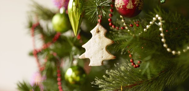 Christmas tree biscuit