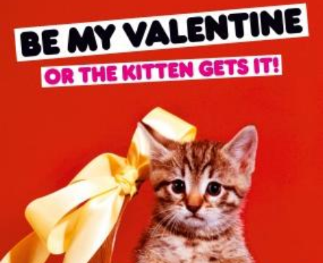 Funny Valentine's Cards Scribbler