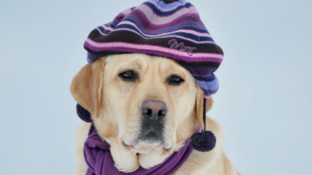 Beast From The East Arrives Heart Essex