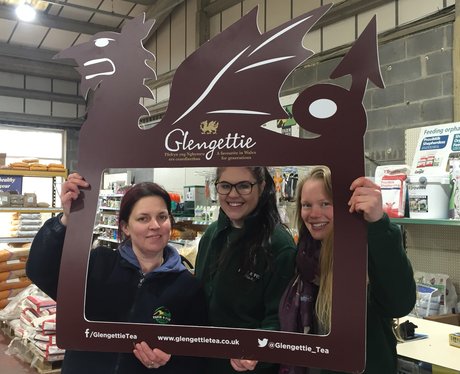 A break with glengettie tea at Farm & Pet place