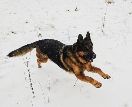 Snow Pictures - Heart Cambridgeshire