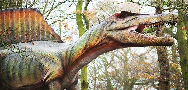 WIN A VIP Trip For 10 To The Brand New World Of Dinosaurs! - Heart ...