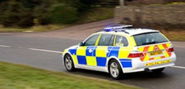 Dev corn police car
