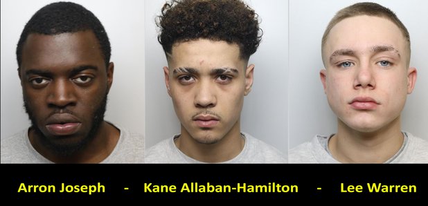 Kane Allaban-Hamilton Lee Warren and Aaron Joseph