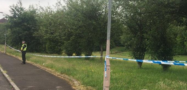 Hogarth Park death
