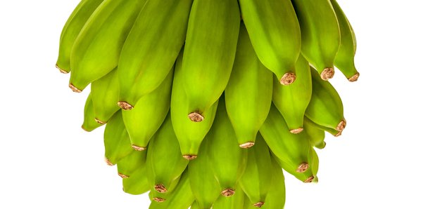 bunch of green bananas