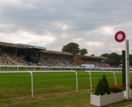 Newmarket Nights Craig David