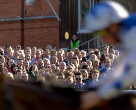 Pictures: Nile Rodgers And CHIC At Newmarket Night