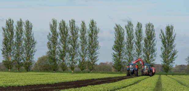 Farm in Norfolk