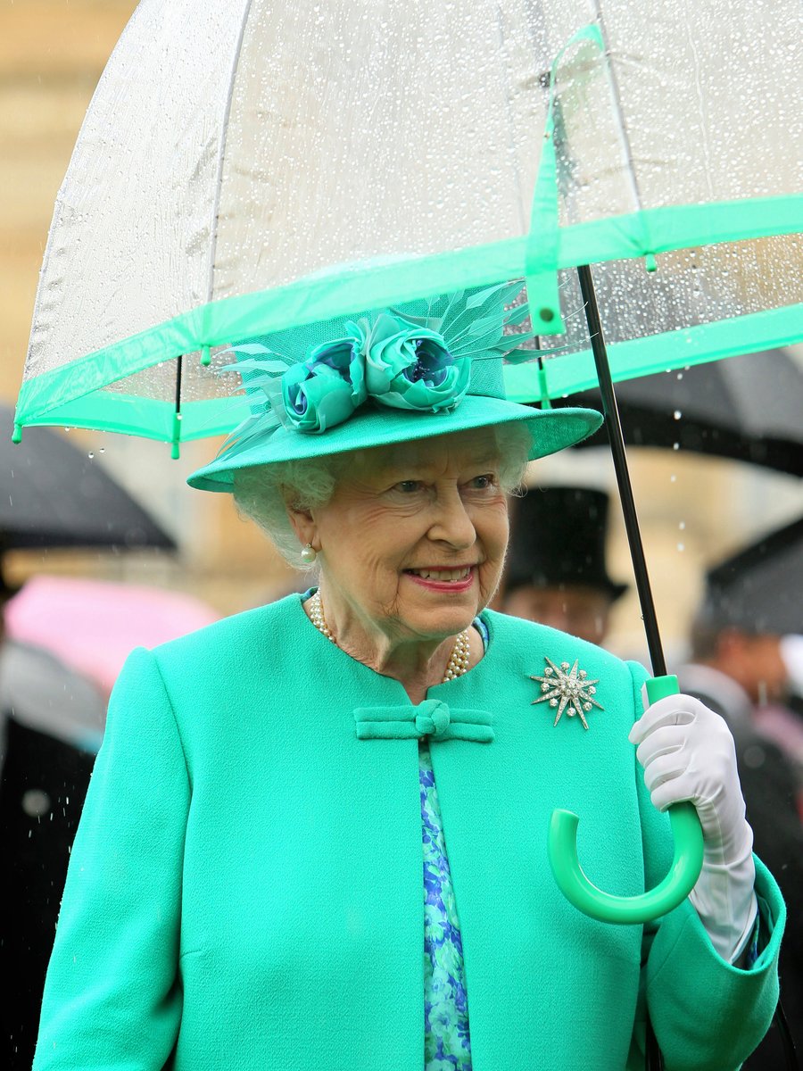 see through umbrella