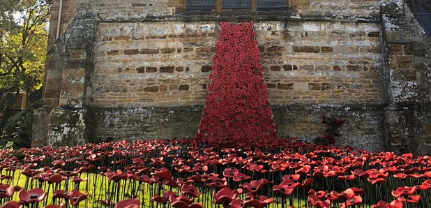 River of Poppies - Northampton