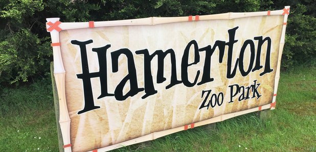 Hamerton Zoo Huntingdon