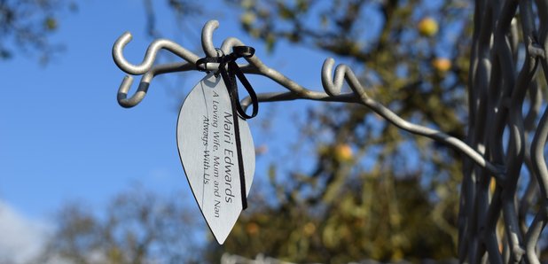 Willen Hospice Tree of Life