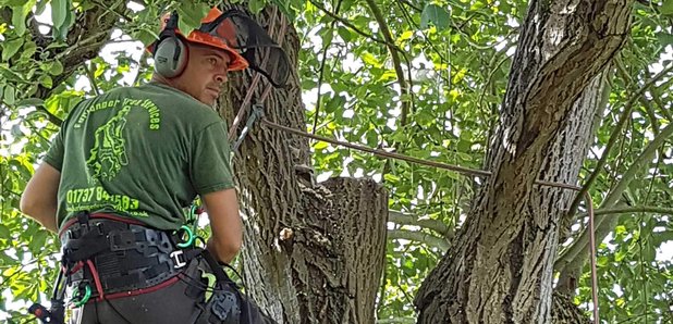Furlonger Tree Services