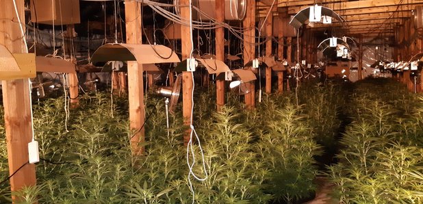 Warboys Cannabis Factory
