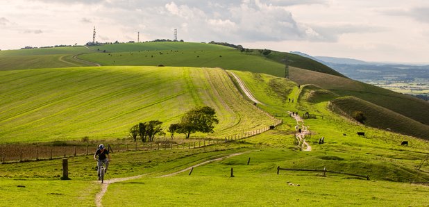 South Downs Way