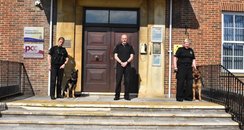New Wiltshire police dogs