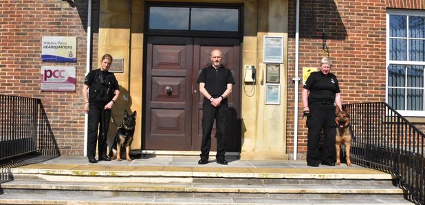 New Wiltshire police dogs