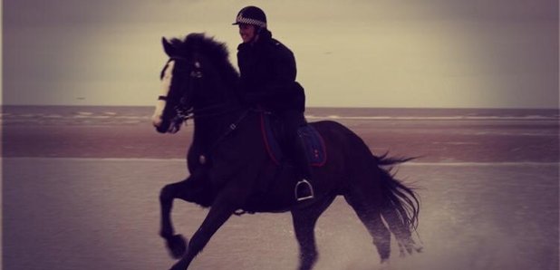 Police Horse Morecambe