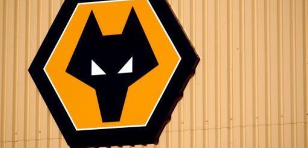 Wolves badge