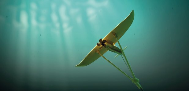Underwater kite