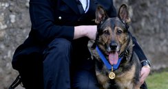 Police Dog Finn and Dave Wardell