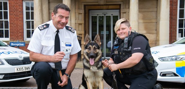 Northamptonshire Police Dog