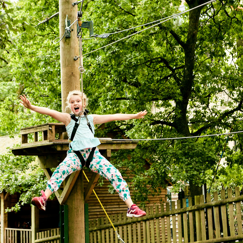 Low ropes at Celtic Manor Resort