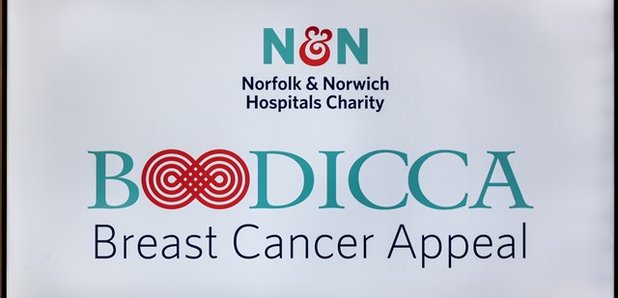 Norfolk and Norwich Hospital's Boudicca Appeal
