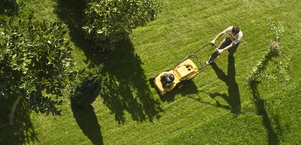 gardening