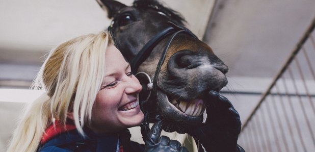 Horse Generic