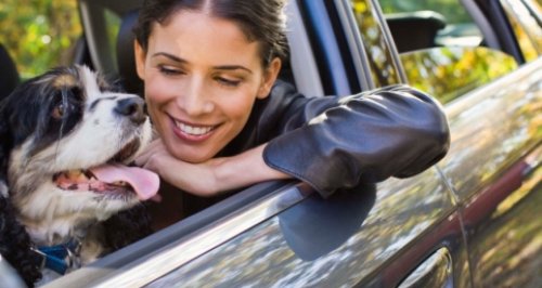 Woman with dog in car