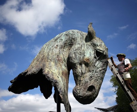 Weird And Wonderful Pictures Of The Week